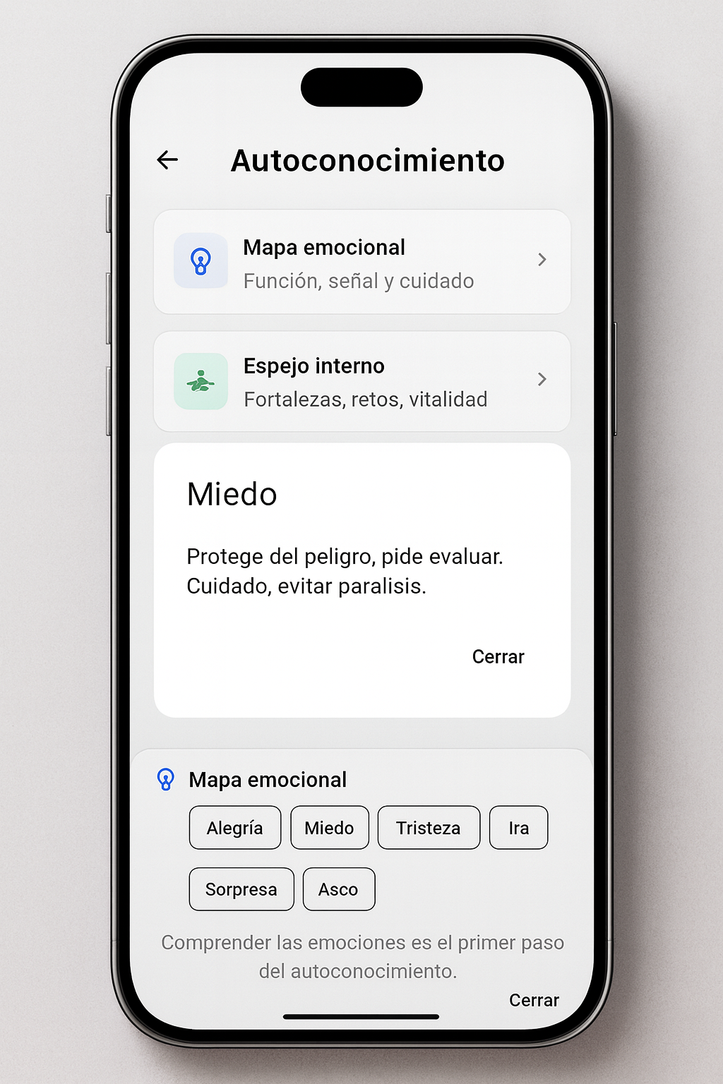 Vista previa de los talleres de bienestar emocional de Temotiva®